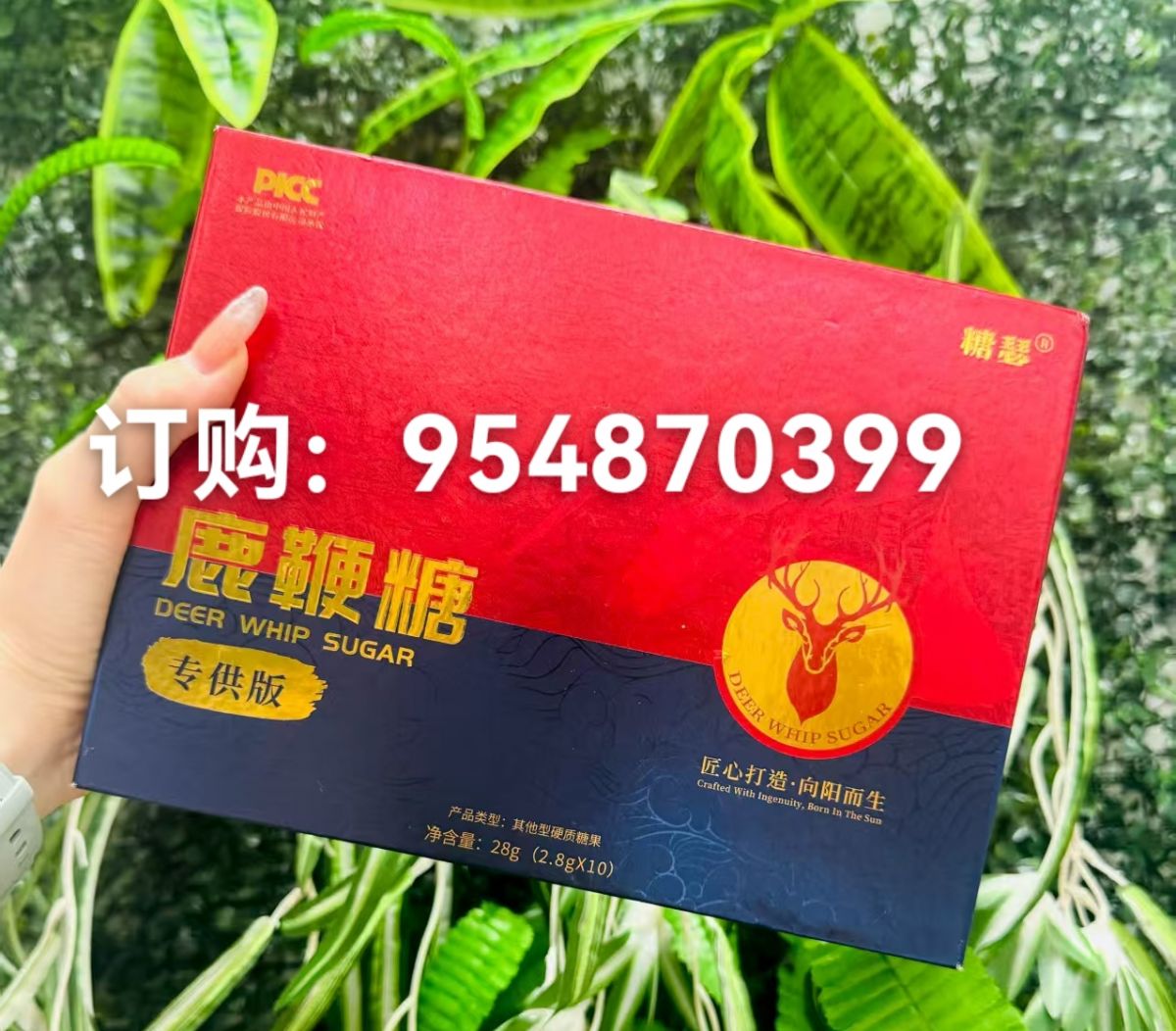 微信图片_20250902161233