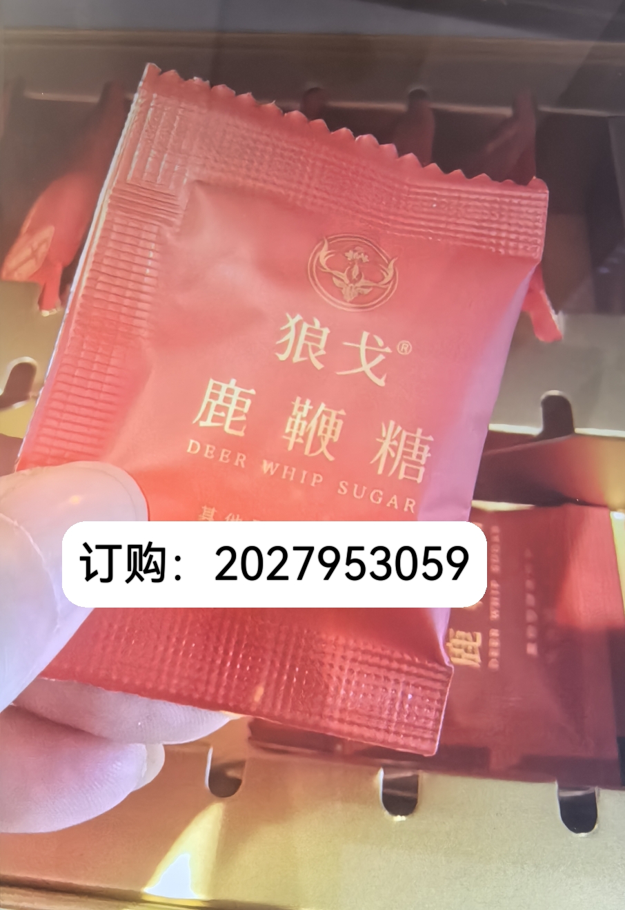 微信圖片_20250913214233
