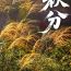 除了昼夜等长，关于秋分的这些你知道吗？