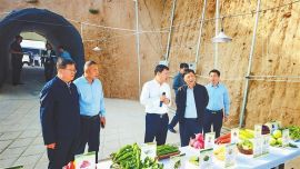 凝才聚智 精准施策 ——新能源和新材料组专家赴张掖嘉峪关酒泉调研侧记