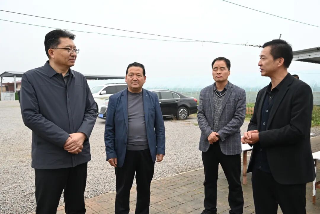 调研温泉镇齐楼村人大代表蔬菜产业发展联络点，走访市人大代表罗文霄