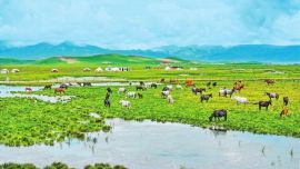 錦繡山河展畫(huà)屏 生態(tài)護(hù)隴啟新程 ——甘肅以高水平生態(tài)環(huán)境保護(hù)助力高質(zhì)量發(fā)展