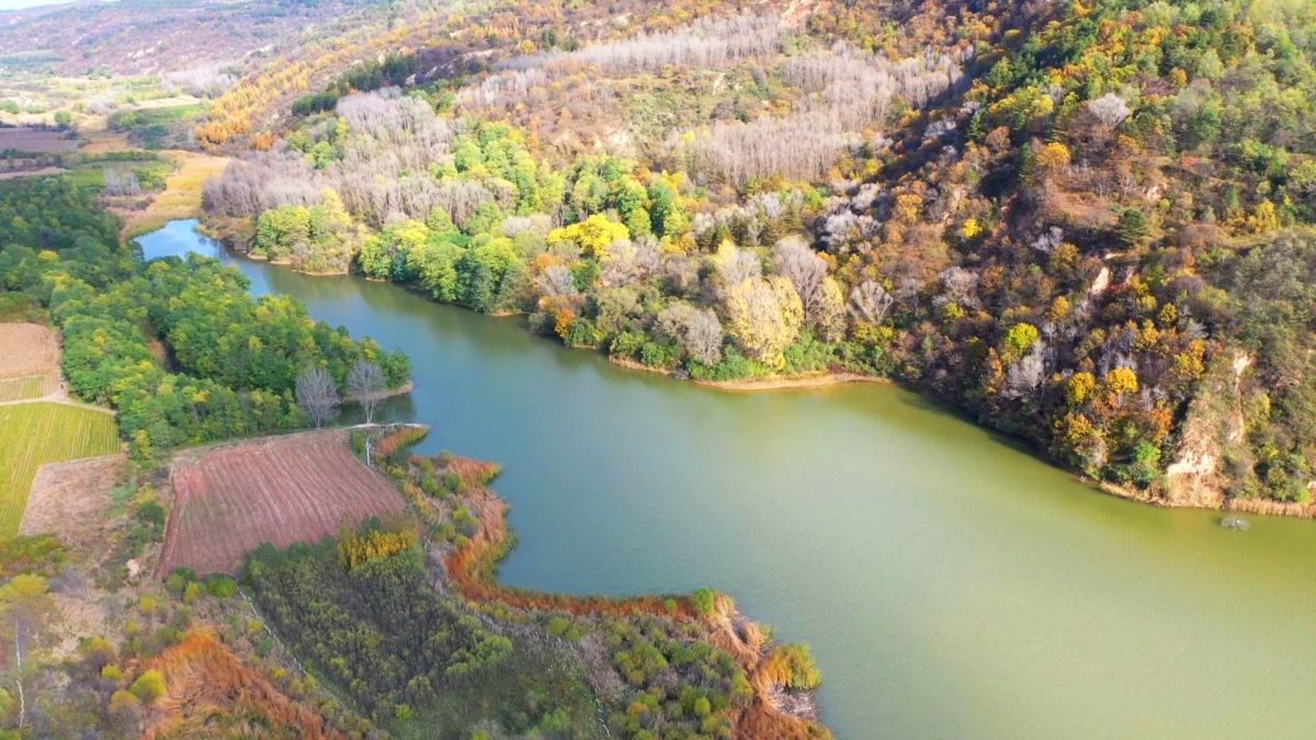 DJI_0763.MP4_snapshot_00.00_[2025.10.16_09.09.51].jpg