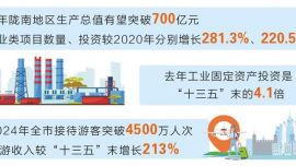 隴南經(jīng)濟(jì)社會發(fā)展取得可喜成績