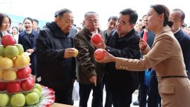 敞开胸怀迎嘉宾——宁县参加2025中国苹果年会暨庆阳苹果营销大会侧记