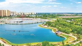 以结构优化驱动总量跃升 ——庆阳市挑大梁作标杆交出中国式现代化优秀答卷