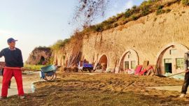 庆城：蔡口集乡韩金祥100亩苦荞喜获丰收