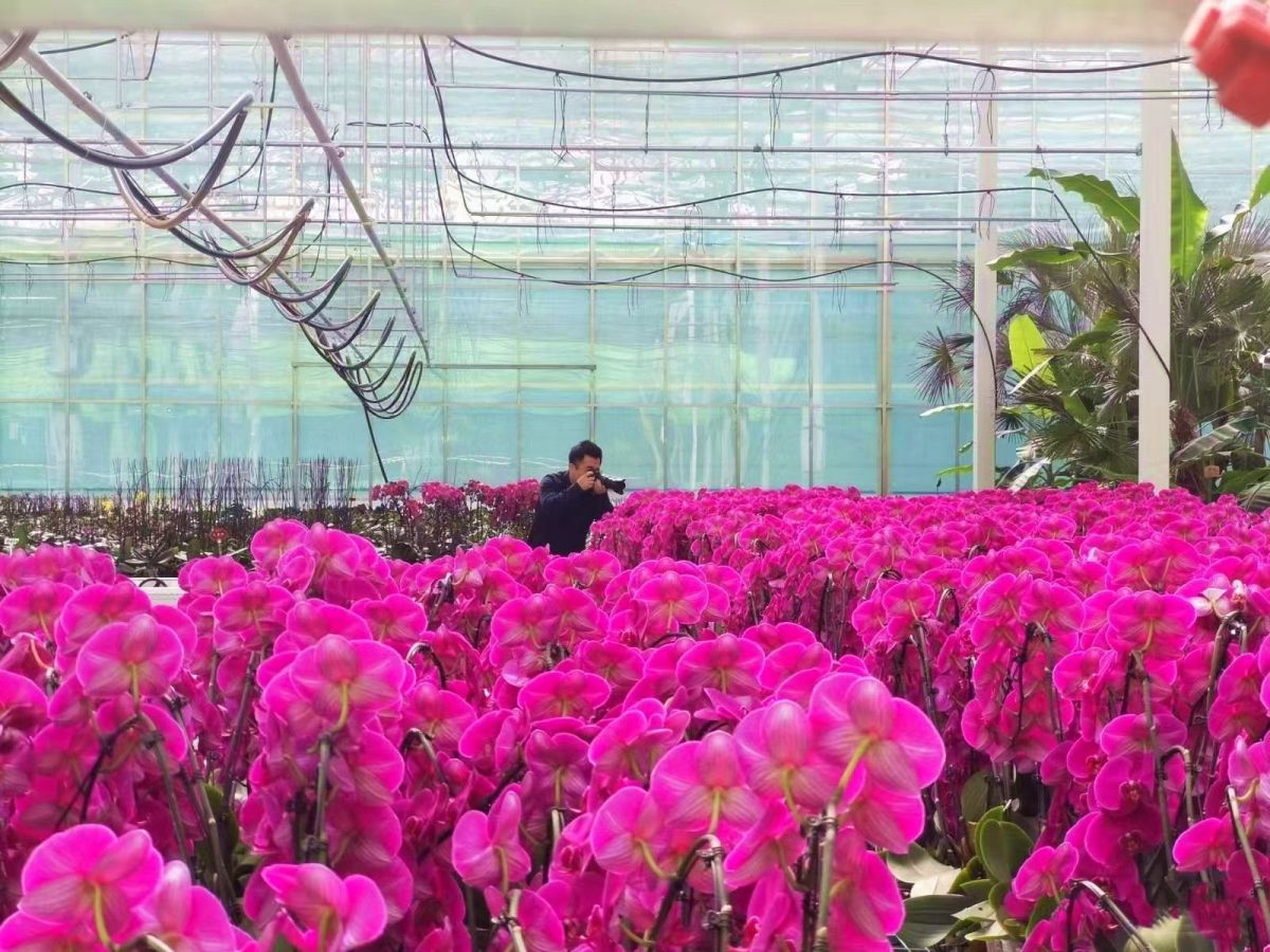 微信图片_20251103104259_171_246