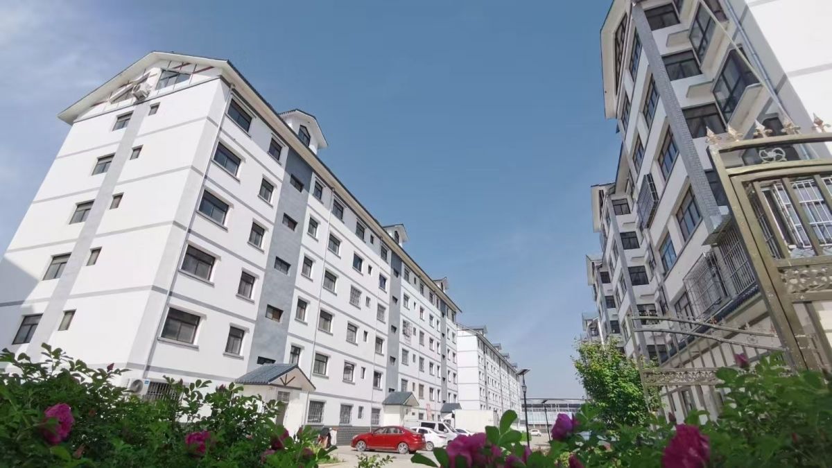 微信图片_20251103104237_169_246