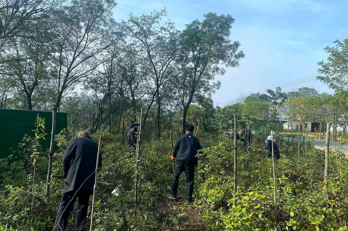 微信图片_20251031162219_561_39