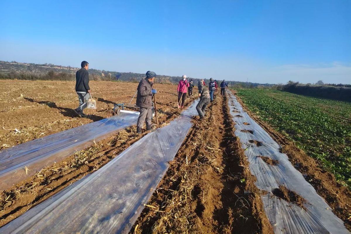 微信图片_20251031162233_562_39