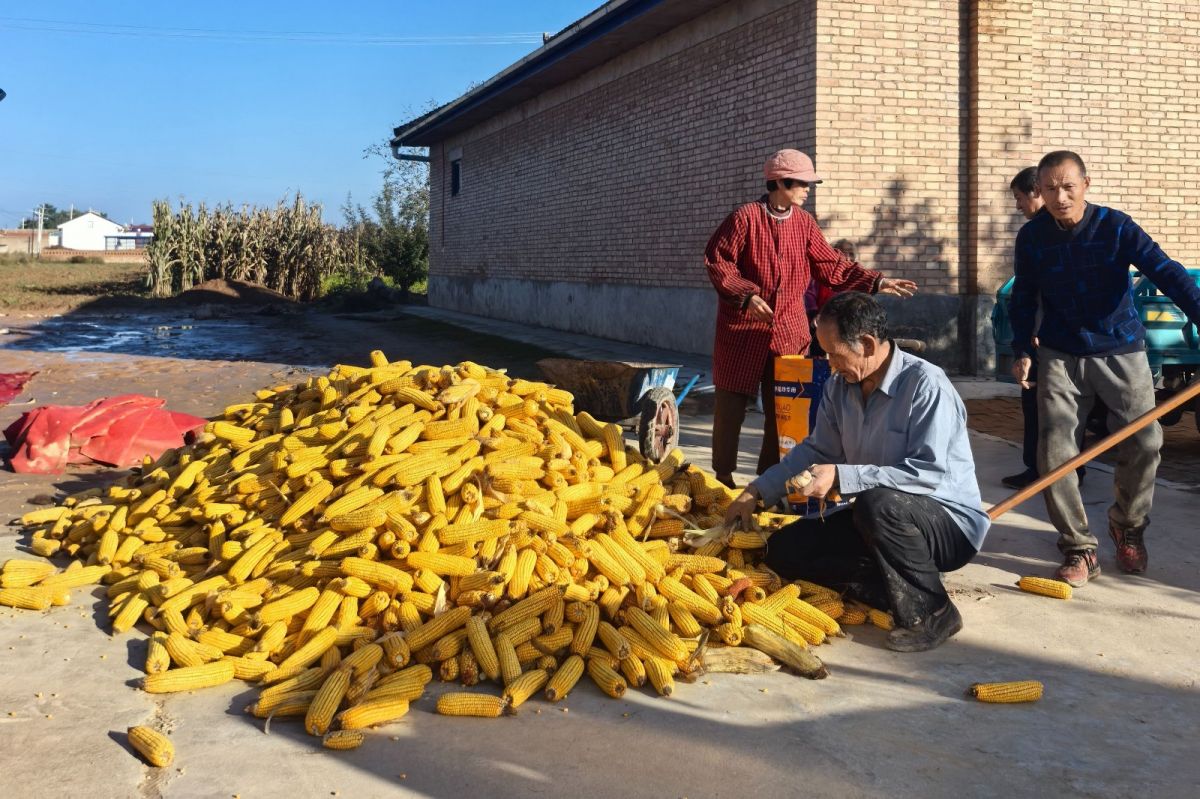 微信图片_20251031170402_580_39