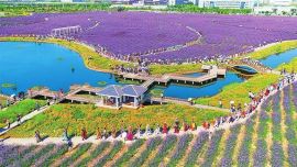 金昌 以“五城”建设构建高质量发展新格局