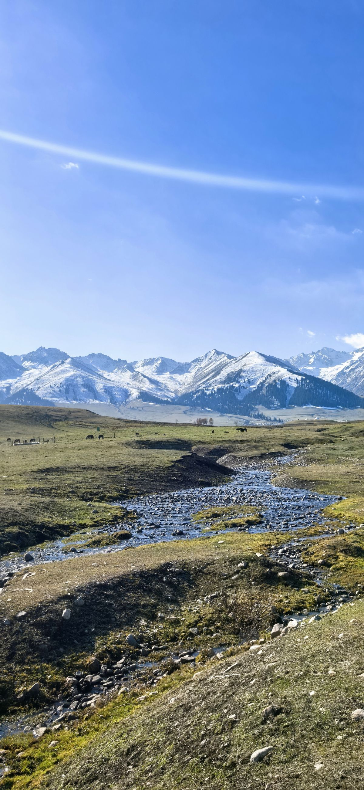 那拉提 摄影师/罗显斌