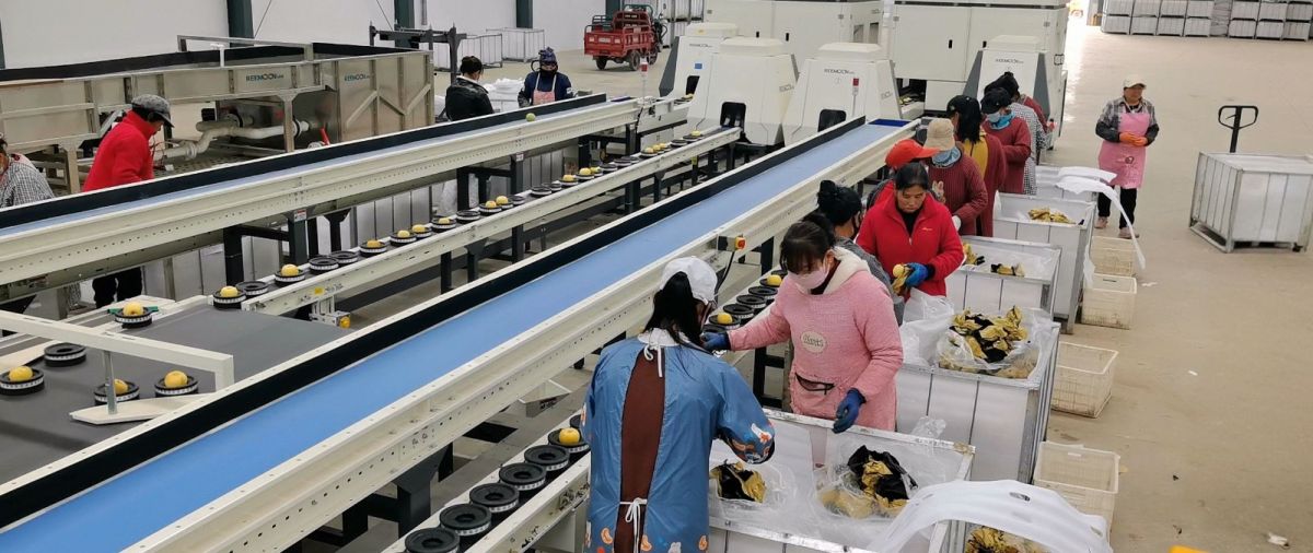 微信图片_20251106095801