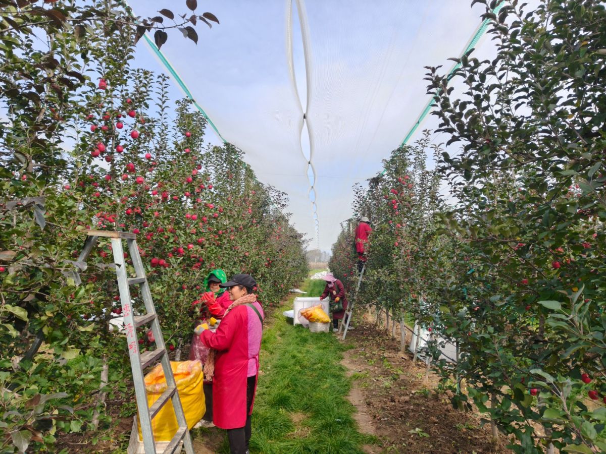 微信图片_20251106095708