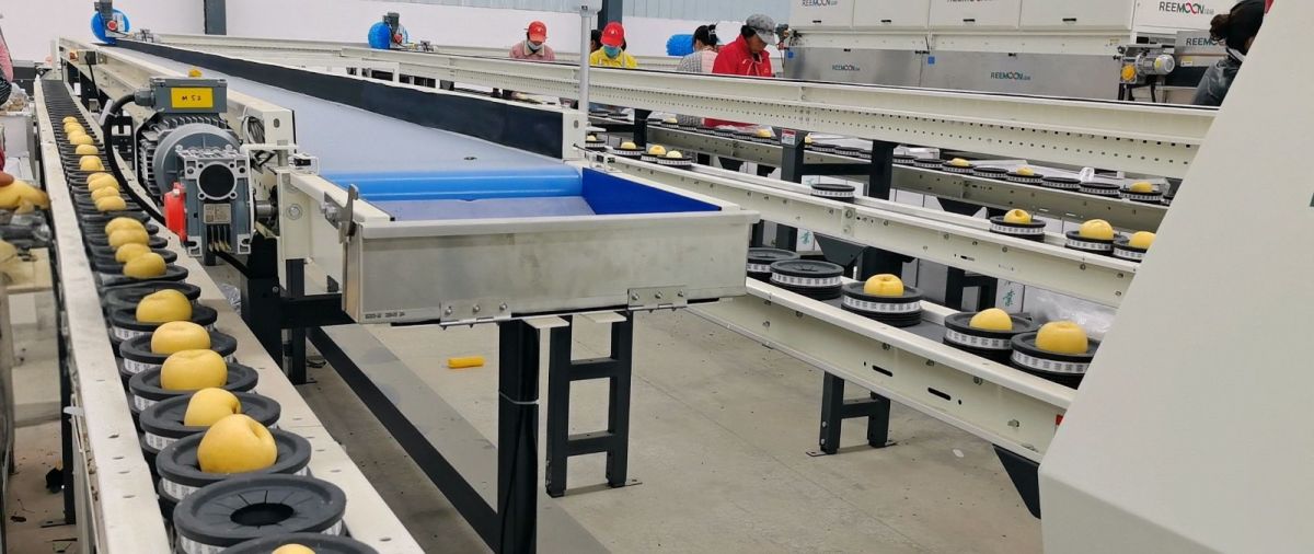 微信图片_20251106095754