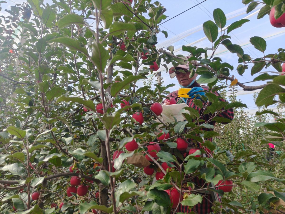 微信图片_20251106101406