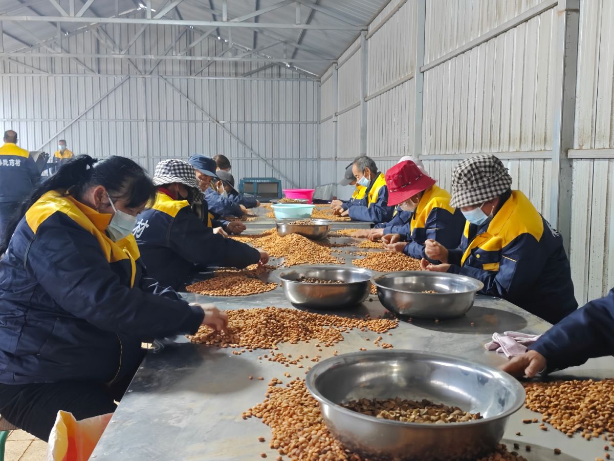 微信图片_20251112093602