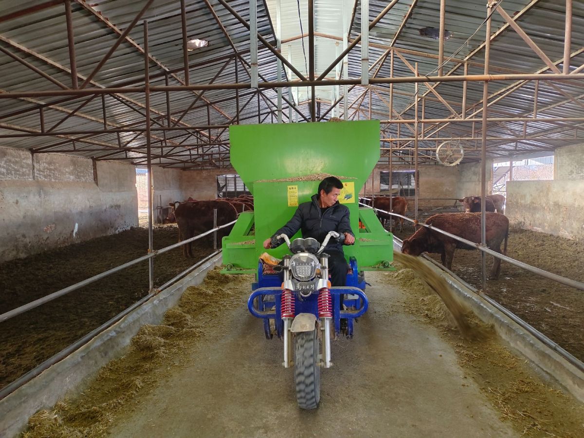 微信图片_20251112105943_9_1033