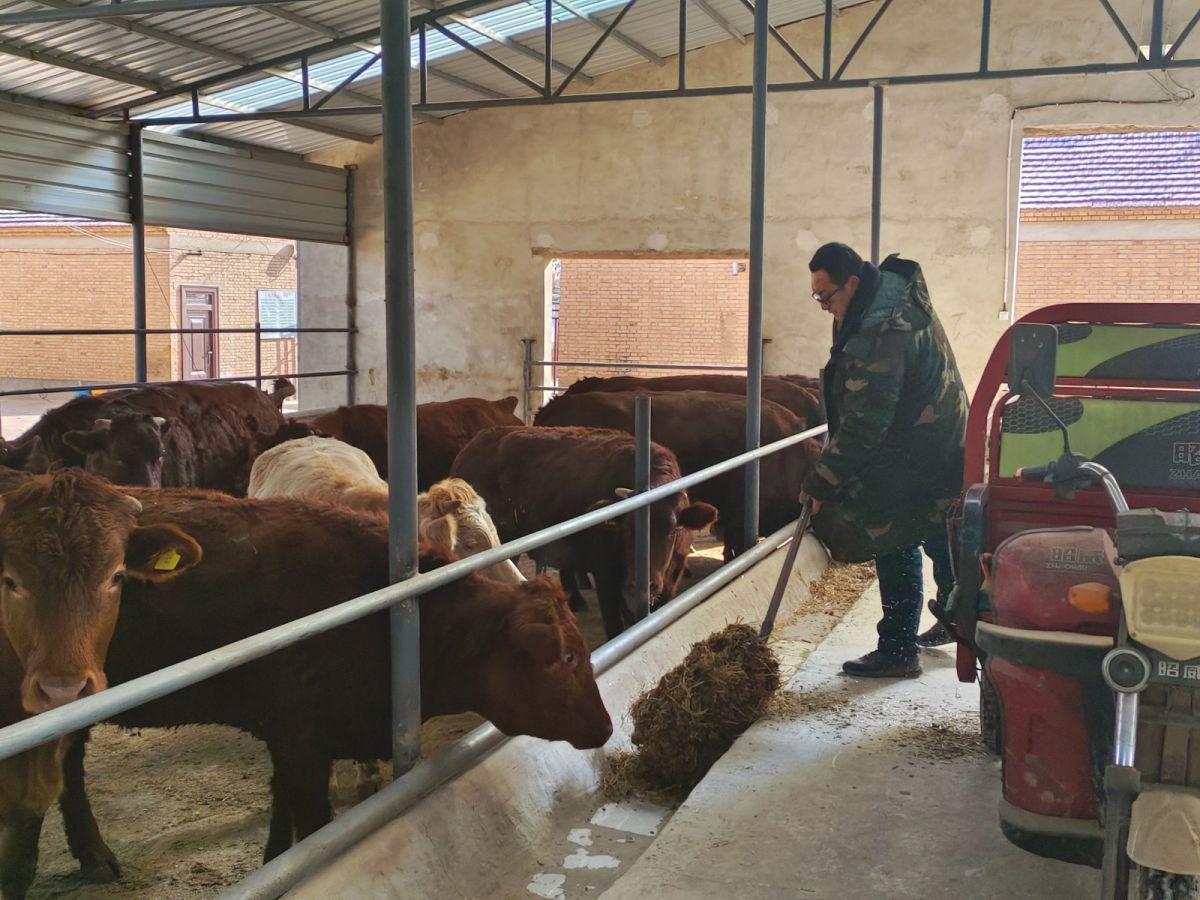 微信图片_20251112110223_12_1033