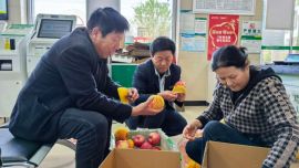 红果出陇东 速递暖民心 —— 宁县快递赋能特色产业助农增收