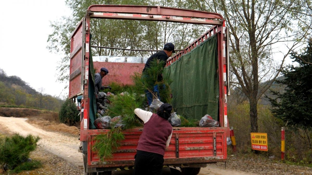 P******456.MP4_snapshot_00.01.037.jpg P******456.MP4_snapshot_00.01.037.jpg