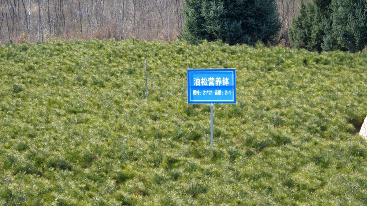 P******097.MP4_snapshot_00.01.677.jpg P******097.MP4_snapshot_00.01.677.jpg