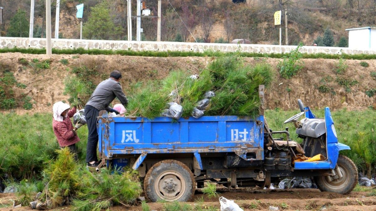 P******464.MP4_snapshot_00.00.042.jpg P******464.MP4_snapshot_00.00.042.jpg