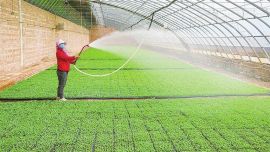 深耕沃野 兴业富民 ——“十四五”时期平凉市聚力打造西部现代精品农业样板区综述