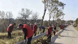 米桥镇：“党建红”添彩“生态绿” 人居环境整治绘就和美乡村新图景