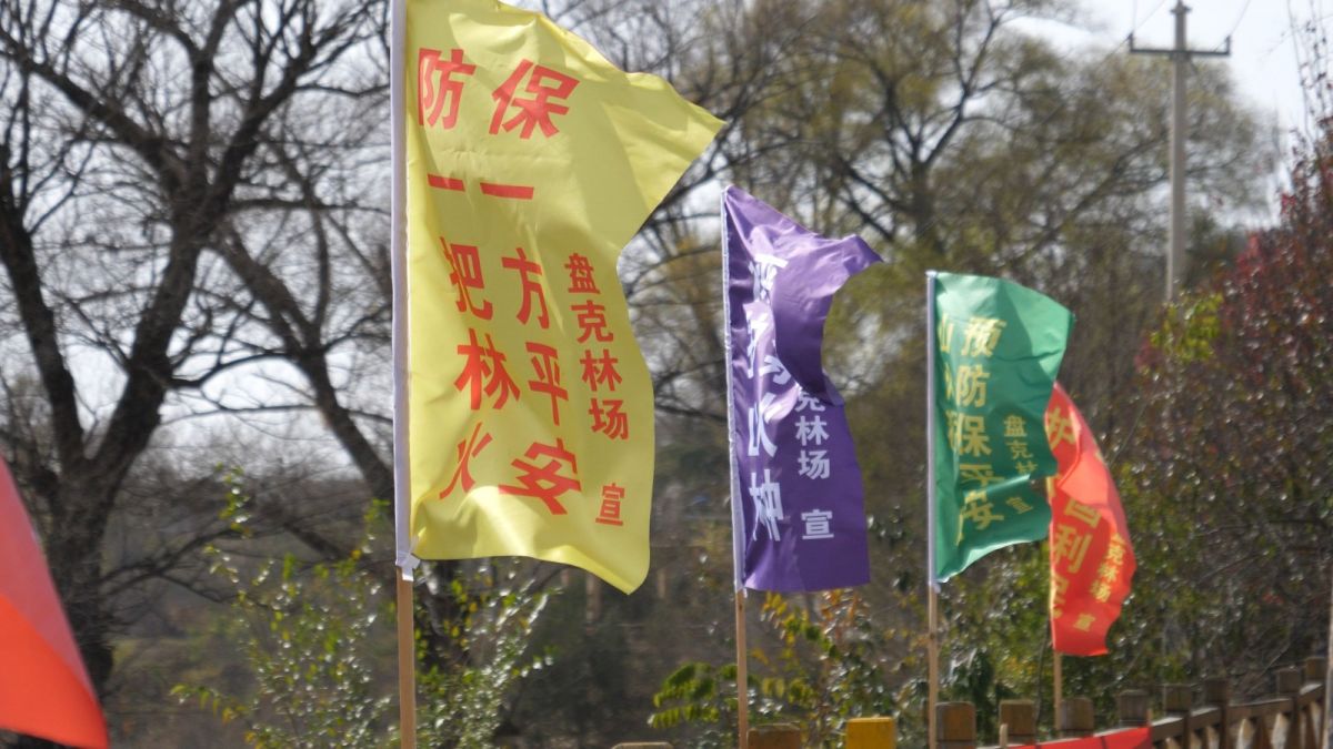 P******050.MP4_snapshot_00.01.754