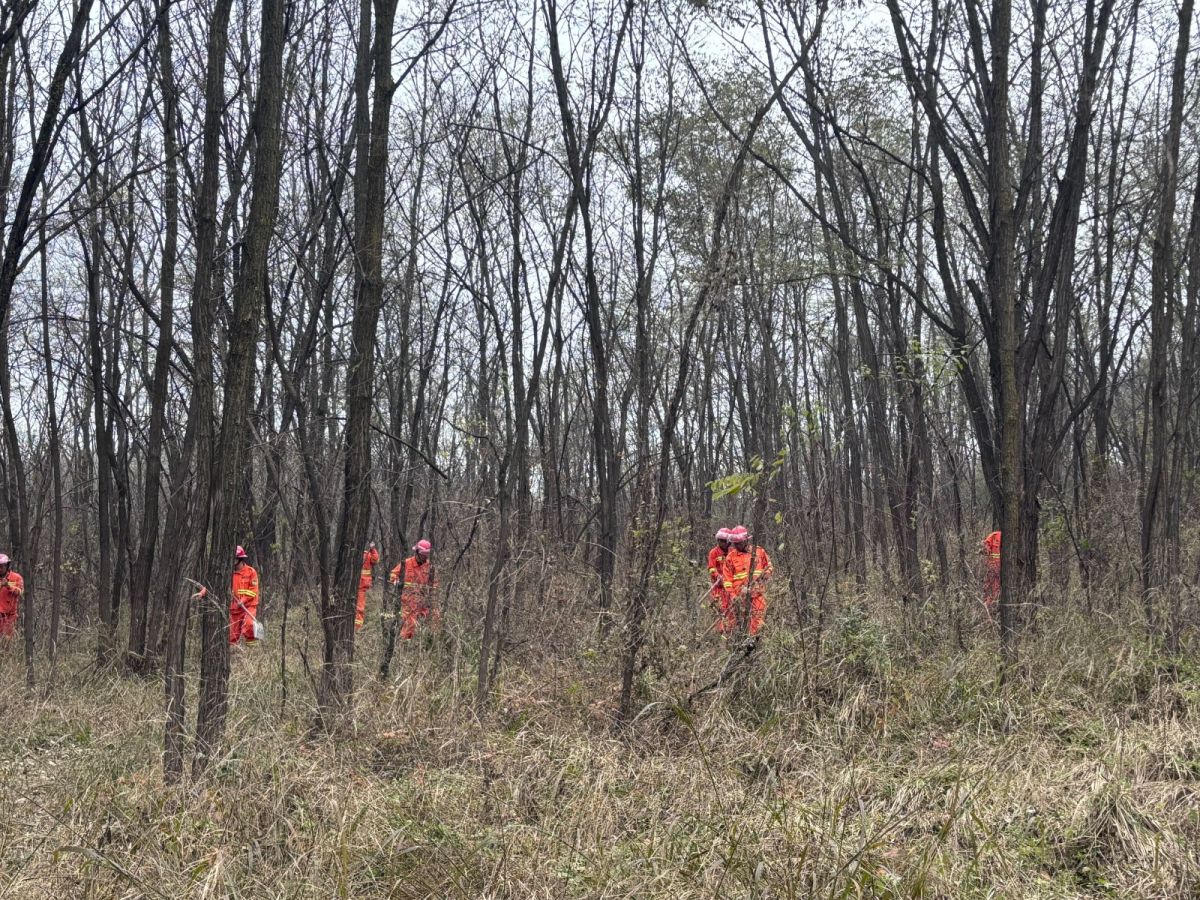 f9128721de90fda7d5afbdadf20f230