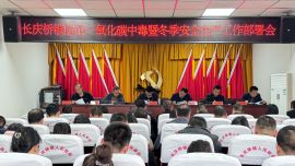 长庆桥镇:“暖盾行动”筑牢一氧化碳安全防线 守护千家万户“呼吸安全”