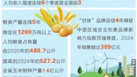 甘肅“十四五”“三農(nóng)”發(fā)展取得歷史性成就