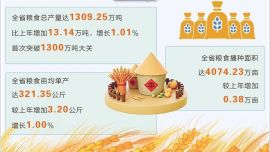 我省糧食年產(chǎn)量突破1300萬(wàn)噸大關(guān)