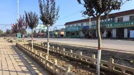 2025向“美”而行——新寧鎮(zhèn)扎實(shí)推進(jìn)人居環(huán)境整治綜述