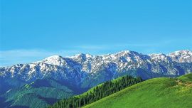 “十四五”以來全省以林長制為抓手推進(jìn)林草事業(yè)高質(zhì)量發(fā)展綜述