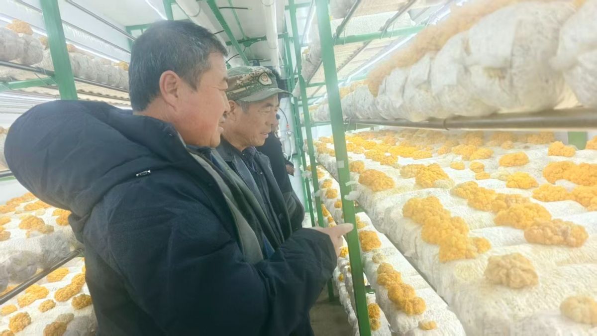 微信圖片_20251215163310_100_81