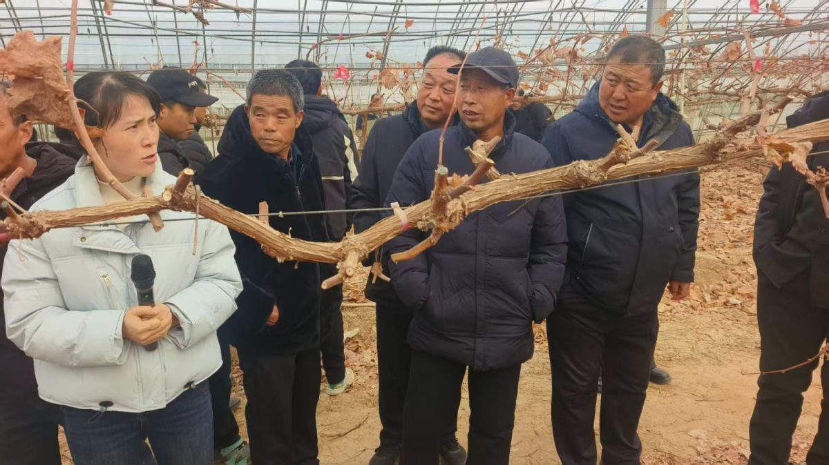 微信圖片_20251215163314_103_81