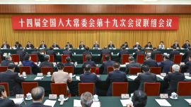 十四届全国人大常委会第十九次会议举行联组会议 审议节约能源法执法检查报告并开展专题询问 赵乐际出席