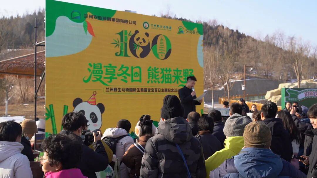 甘肃省首只人工圈养繁育大熊猫幼崽&ldquo;曼兰仔&rdquo;的百日庆祝活动举行