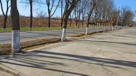 湘乐镇：干群携手齐发力 人居环境焕新颜