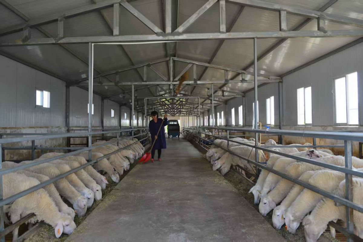 微信图片_20251229153302_557_163