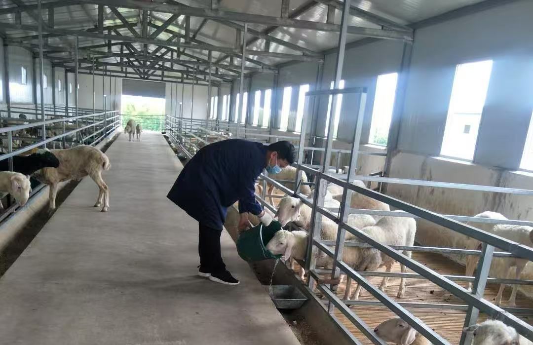 微信图片_20251229153301_556_163