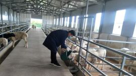 孙健：科技为笔 乡土为卷 书写新农人的兴农答卷