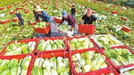 甘肃日报评出2025年甘肃省十大新闻