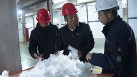 市人大代表王超平：为“十五五”注入镇域发展强动能