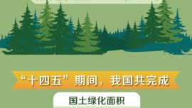 圖表：2025年我國(guó)完成國(guó)土綠化任務(wù)1.27億畝