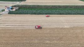 項(xiàng)目引領(lǐng)強(qiáng)支撐 寧縣 2025 年農(nóng)技推廣交出亮眼答卷